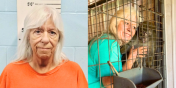 Shock Twist After Mom Trades Teen for Monkey